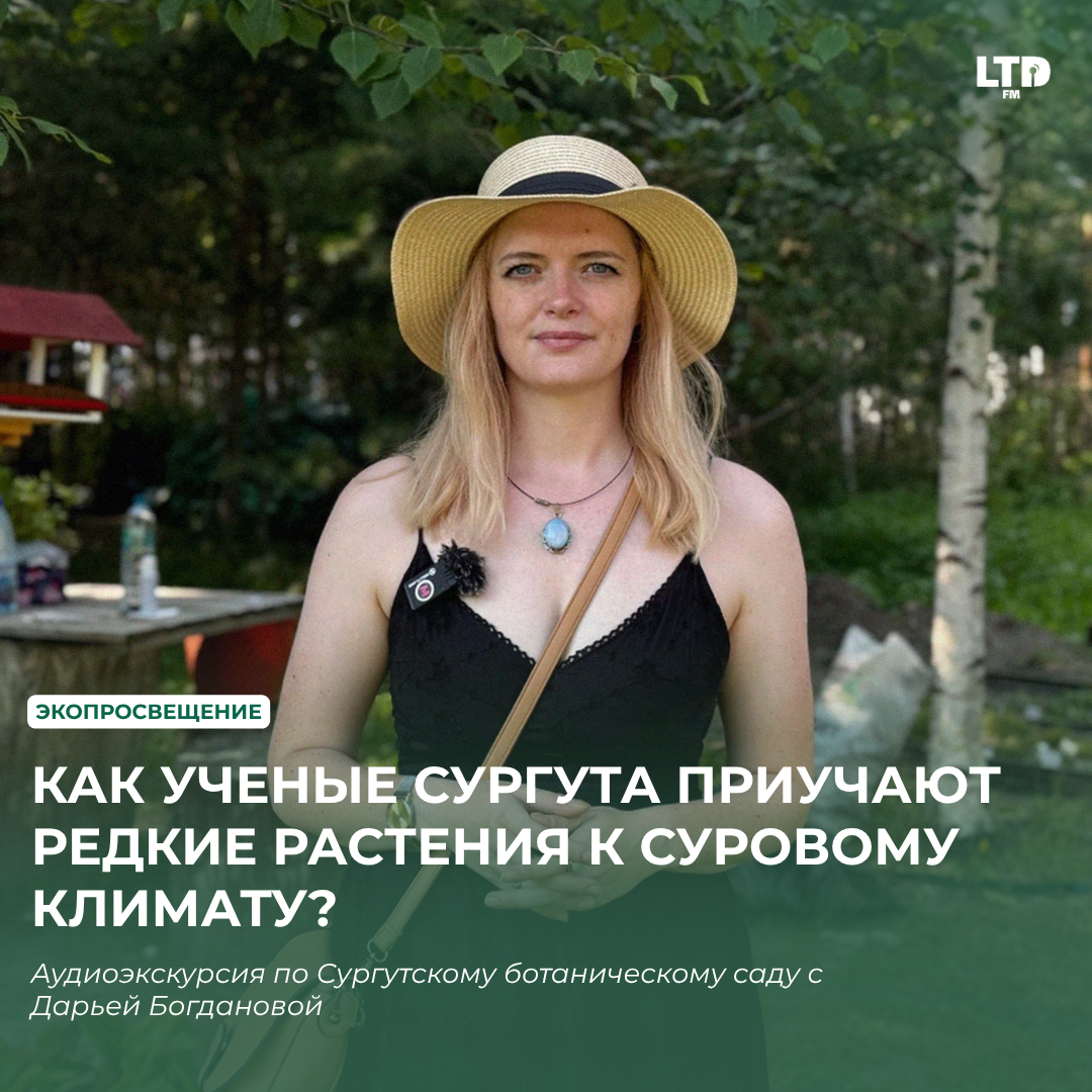 КАК УЧЕНЫЕ СУРГУТА ПРИУЧАЮТ РЕДКИЕ РАСТЕНИЯ К СУРОВОМУ КЛИМАТУ?
