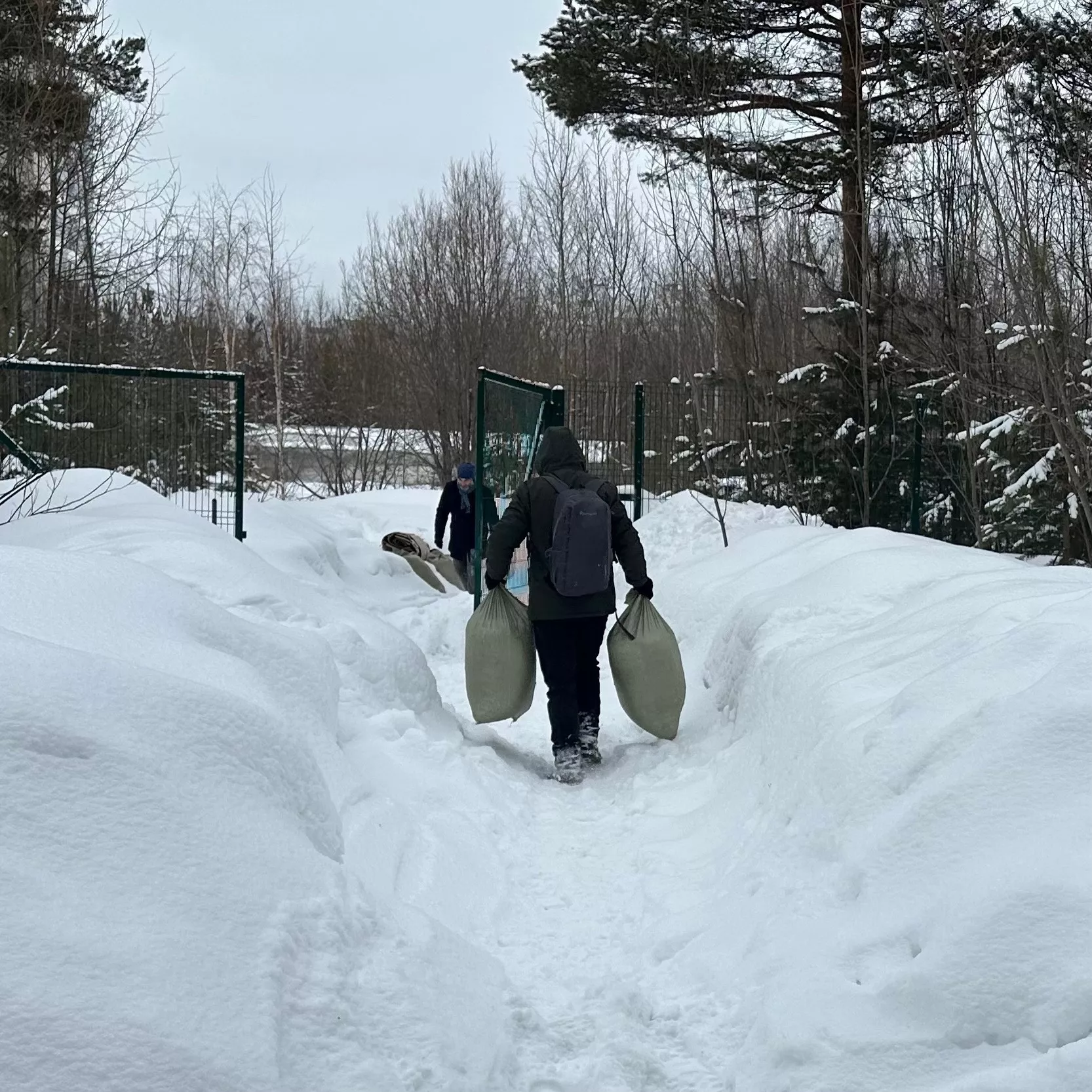 Ёлочки с Сургута: на пользу природе и животным