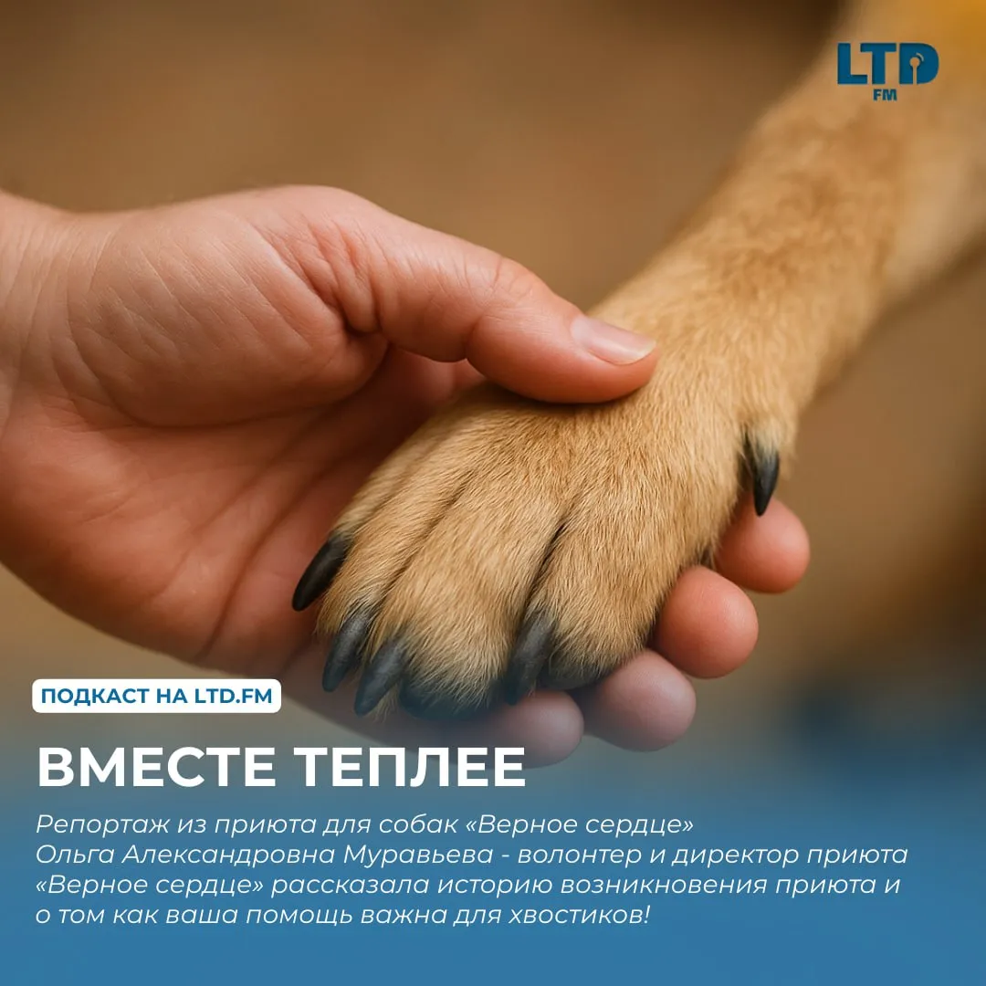 Вместе теплее на LTD.FM